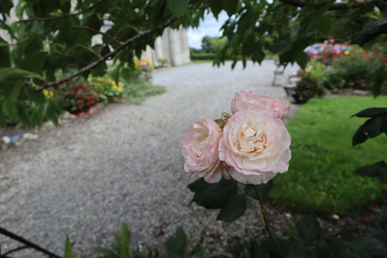 Lorum Old Rectory Bagenalstown Exterior foto